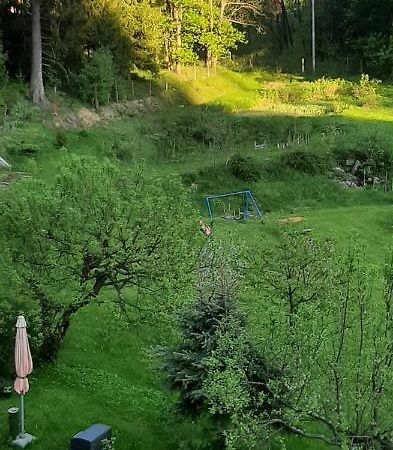 Pod Modrzewiem Mieszkania Wakacyjne Duszniki Zdrój Esterno foto
