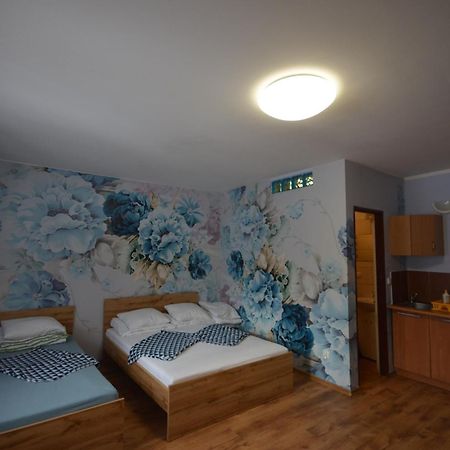 Pod Modrzewiem Mieszkania Wakacyjne Duszniki Zdrój Esterno foto
