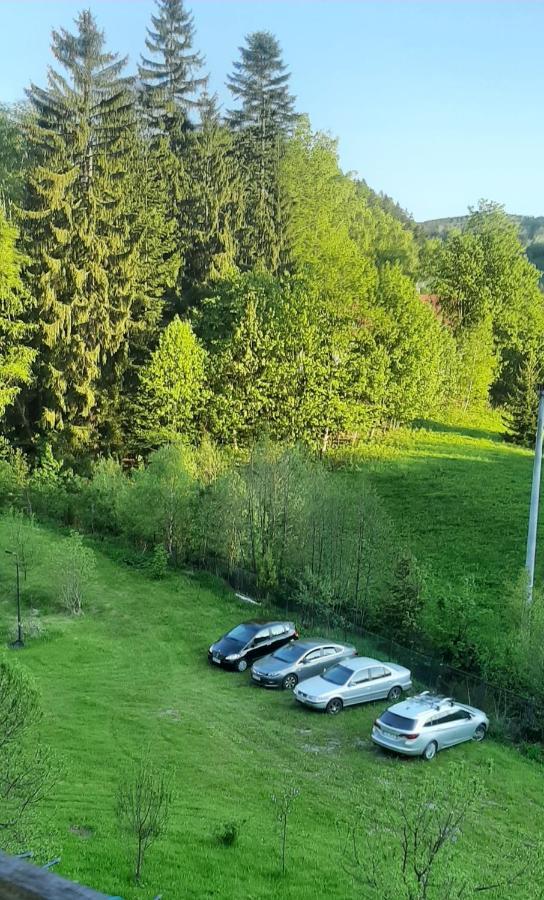 Pod Modrzewiem Mieszkania Wakacyjne Duszniki Zdrój Esterno foto