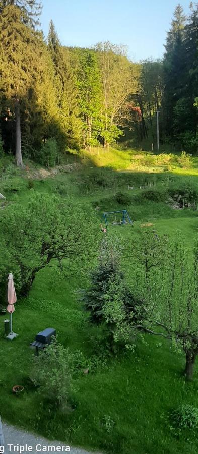 Pod Modrzewiem Mieszkania Wakacyjne Duszniki Zdrój Esterno foto